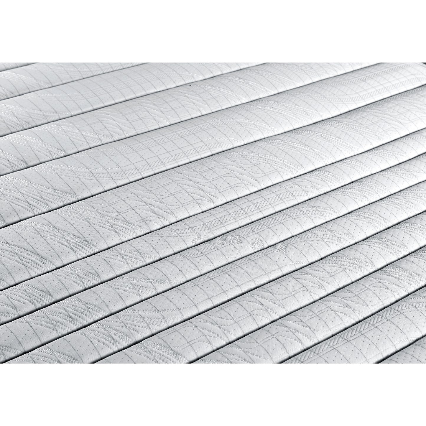Ortho Spine